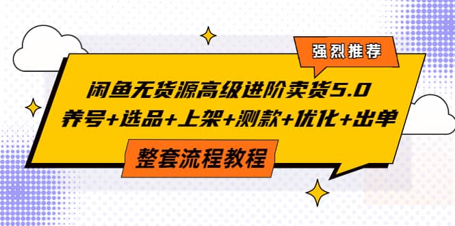 闲鱼无货源高级进阶卖货5.0，养号+选品+上架+测款+优化+出单整套流程教程-安哥网络创业副业
