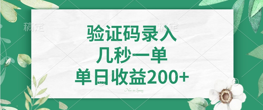 验证码录入，几秒一单，单日收益200+-安哥网络创业副业