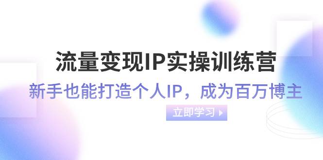 流量变现-IP实操训练营：新手也能打造个人IP，成为百万博主（46节课）-安哥网络创业副业