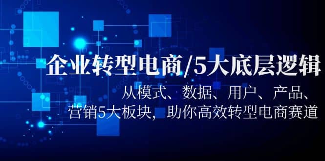 企业转型电商/5大底层逻辑，从模式 数据 用户 产品 营销5大板块，高效转型-安哥网络创业副业