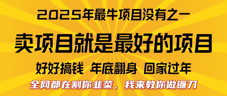 全网都在割你韭菜，我来教你做镰刀。卖项目就是最好的项目，2025年最牛互联网项目-安哥网络创业副业