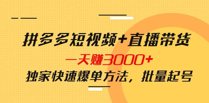 拼多多短视频+直播带货，一天赚3000+独家快速爆单方法，批量起号-安哥网络创业副业