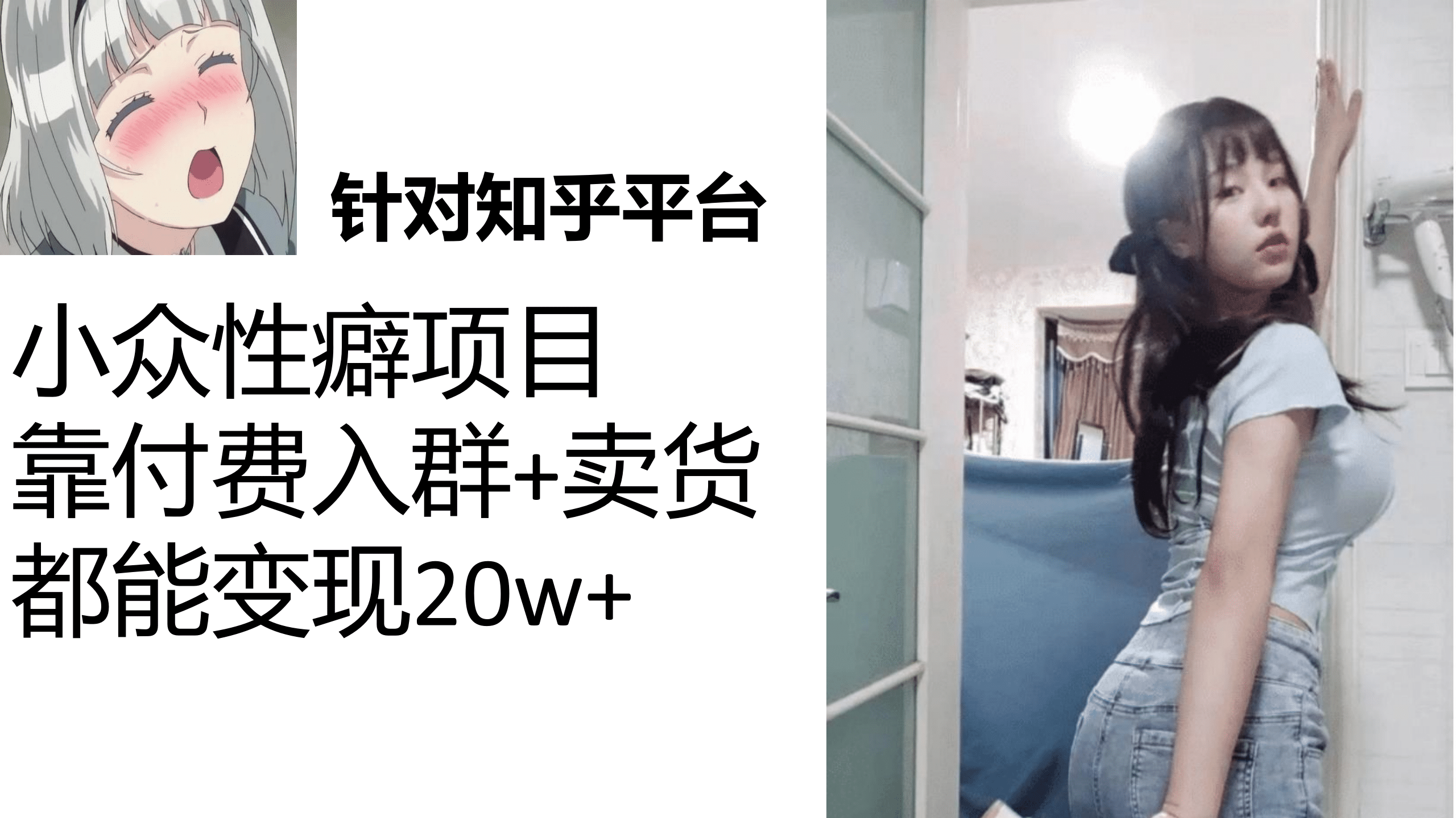 知乎小众性癖项目，Lsp的钱才是最好赚的，付费建群+卖货变现20w-安哥网络创业副业