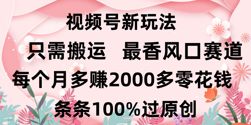 日入2000+，条条100%过原创，视频号最香风口赛道，小白轻松上手-安哥网络创业副业