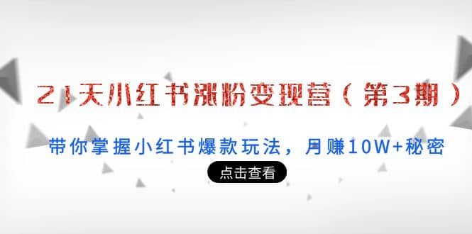 21天小红书涨粉变现营（第3期）：带你掌握小红书爆款玩法，月赚10W+秘密-安哥网络创业副业