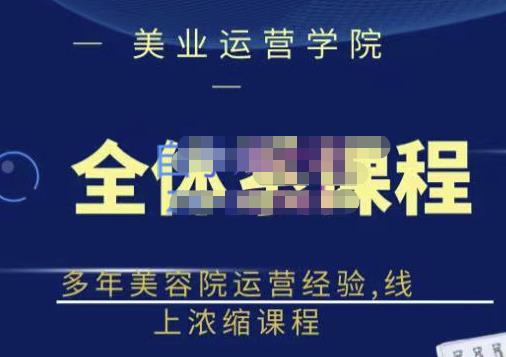 网红美容院全套营销落地课程，多年美容院运营经验，线上浓缩课程-安哥网络创业副业