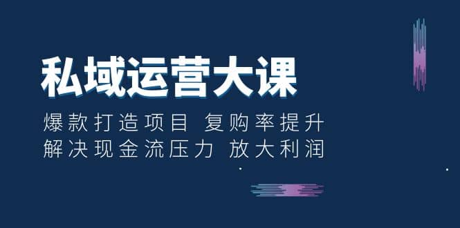 私域运营大课：爆款打造项目 复购率提升 解决现金流压力 放大利润-安哥网络创业副业