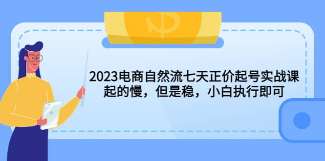 2023电商自然流七天正价起号实战课：起的慢，但是稳，小白执行即可-安哥网络创业副业
