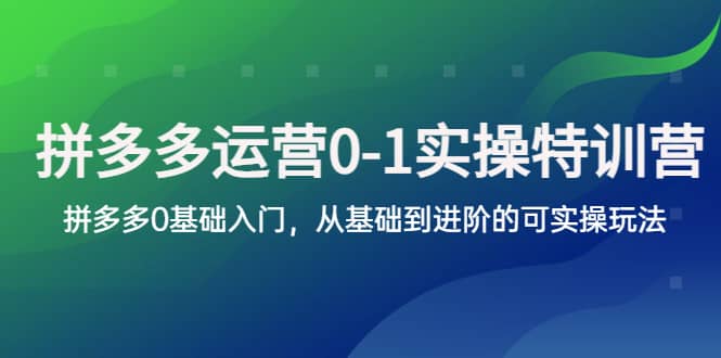 拼多多-运营0-1实操训练营，拼多多0基础入门，从基础到进阶的可实操玩法-安哥网络创业副业