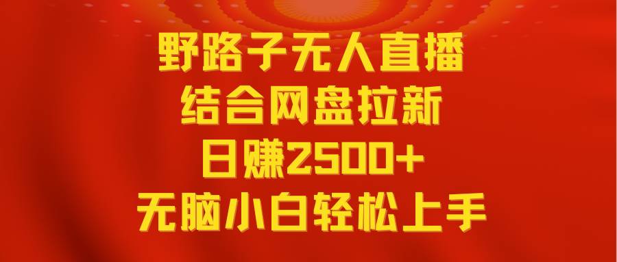 无人直播野路子结合网盘拉新，日赚2500+多平台变现，小白无脑轻松上手操作-安哥网络创业副业