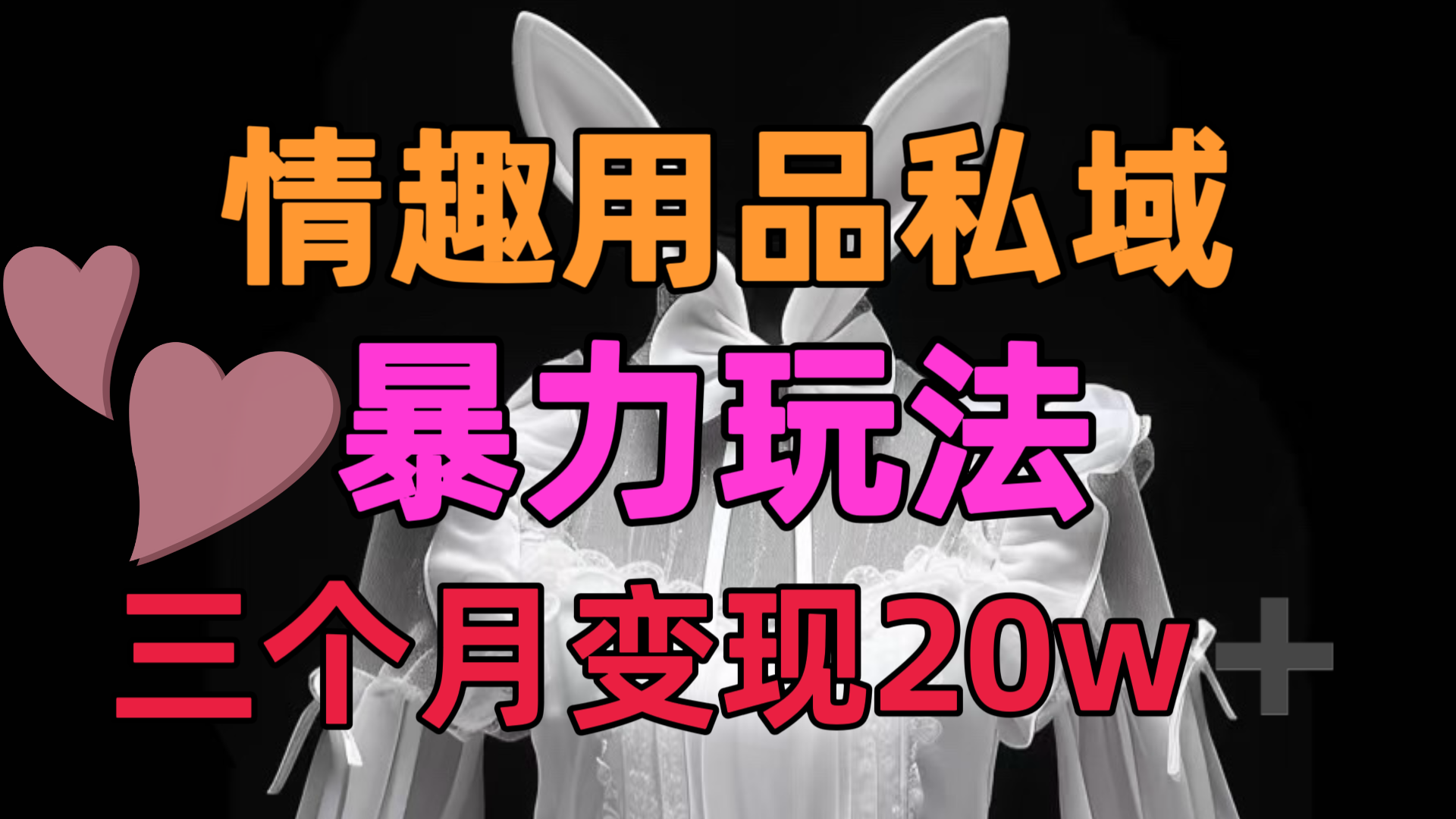 情趣用品私域，25年最新暴力玩法，三个月变现20w➕-安哥网络创业副业