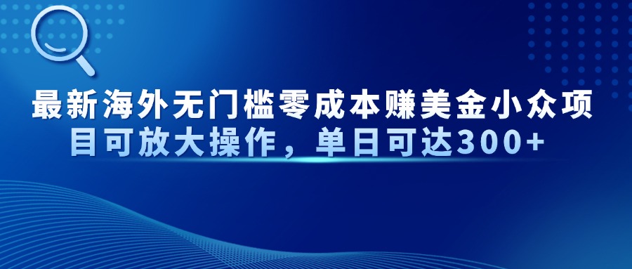最新海外无门槛美金小众项目可放大操作，单日可达300+-安哥网络创业副业