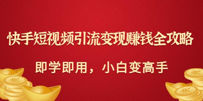 快手短视频引流变现赚钱全攻略：即学即用，小白变高手（价值980元）-安哥网络创业副业