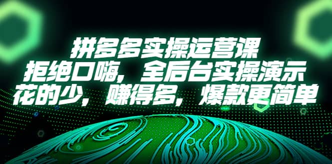 拼多多实操运营课：拒绝口嗨，全后台实操演示，花的少，赚得多，爆款更简单-安哥网络创业副业