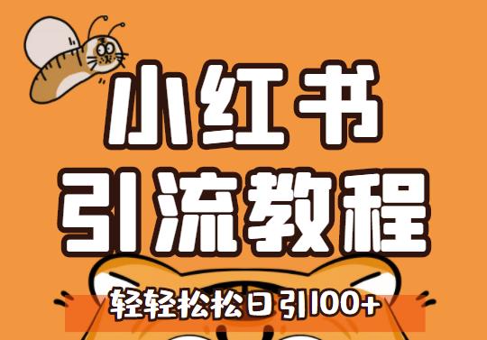 小红书运营引流全系列课程，每天引流100精准粉-安哥网络创业副业
