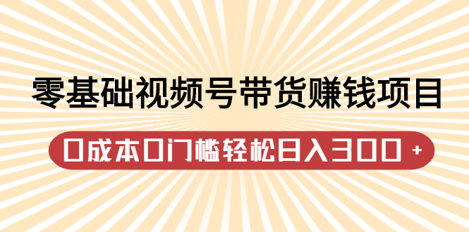零基础视频号带货赚钱项目，0成本0门槛轻松日入300+【视频教程】-安哥网络创业副业