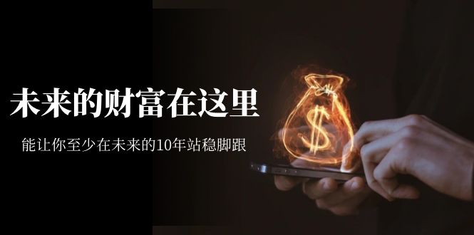 某收费文章《未来的财富在这里》能让你至少在未来的10年站稳脚跟-安哥网络创业副业