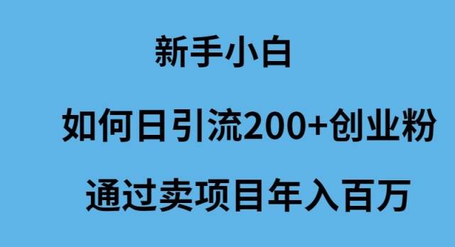 新手小白如何日引流200+创业粉通过卖项目年入百万-安哥网络创业副业