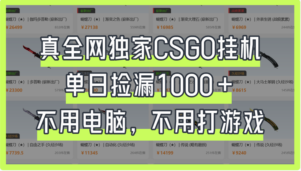 真全网独家CSGO挂机，单日捡漏1000+-安哥网络创业副业