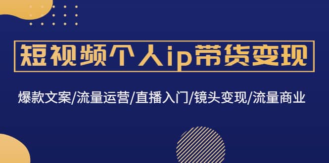 短视频个人ip带货变现：爆款文案/流量运营/直播入门/镜头变现/流量商业-安哥网络创业副业
