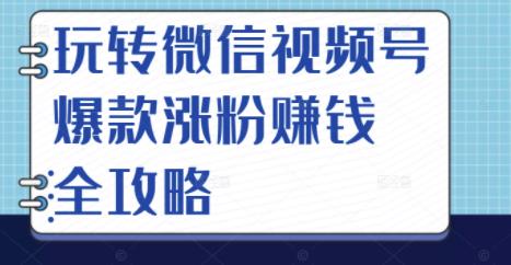 玩转微信视频号爆款涨粉赚钱全攻略，让你快速抓住流量风口，收获红利财富-安哥网络创业副业