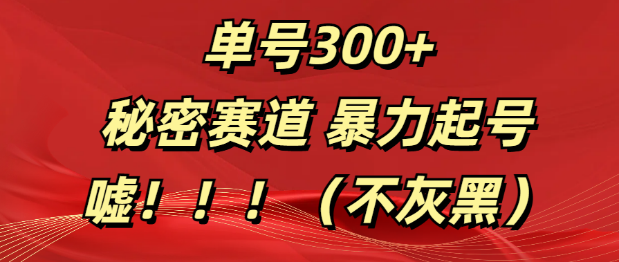 单号300+  秘密赛道 暴力起号  （不灰黑）-安哥网络创业副业
