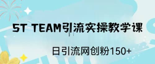 ST TEAM引流实操课，日引流网创粉100+-安哥网络创业副业