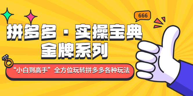 拼多多·实操宝典：金牌系列“小白到高手”带你全方位玩转拼多多各种玩法-安哥网络创业副业