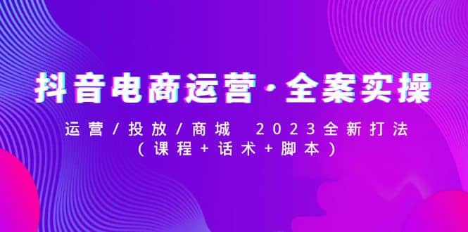 抖音电商运营·全案实操：运营/投放/商城 2023全新打法-安哥网络创业副业