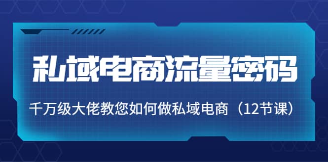 私域电商流量密码：千万级大佬教您如何做私域电商（12节课）-安哥网络创业副业