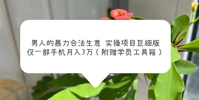 男人的暴力合法生意实操项目巨细版：仅一部手机月入3w（附赠学员工具箱）-安哥网络创业副业