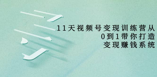 好望角·11天视频号变现训练营，从0到1打造变现赚钱系统（价值398）-安哥网络创业副业