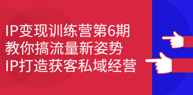 IP变现训练营第6期：教你搞流量新姿势，IP打造获客私域经营-安哥网络创业副业