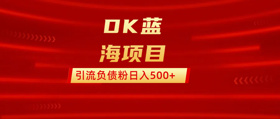 DK蓝海项目  通过，抖音，快手，小红书，引流负债粉日入500+-安哥网络创业副业