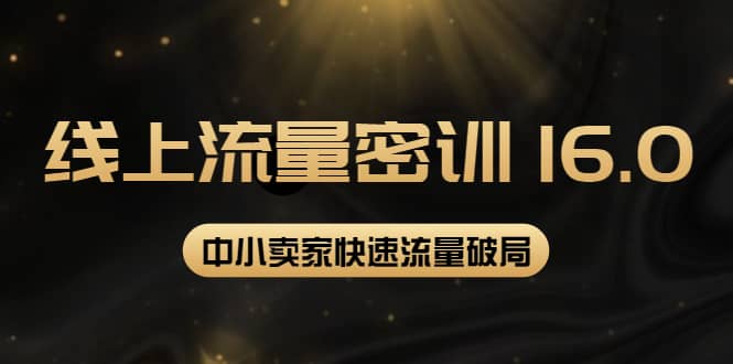 2022秋秋线上流量密训16.0：包含 暴力引流10W+中小卖家流量破局技巧 等等！-安哥网络创业副业