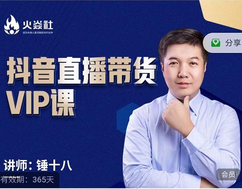 锤十八-抖音直播带货VIP课，专注直播带货有效盈利模式-安哥网络创业副业
