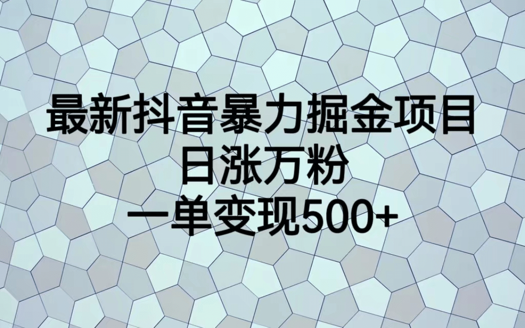 最火热的抖音暴力掘金项目，日涨万粉，多种变现方式，一单变现可达500+-安哥网络创业副业
