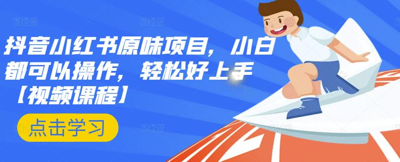 抖音小红书原味项目，小白都可以操作，轻松好上手【视频课程】-安哥网络创业副业