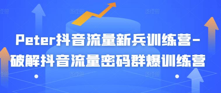 Peter抖音流量新兵训练营-破解抖音流量密码群爆训练营（新兵）-安哥网络创业副业
