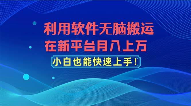 利用软件无脑搬运，在新平台月入上万，小白也能快速上手-安哥网络创业副业
