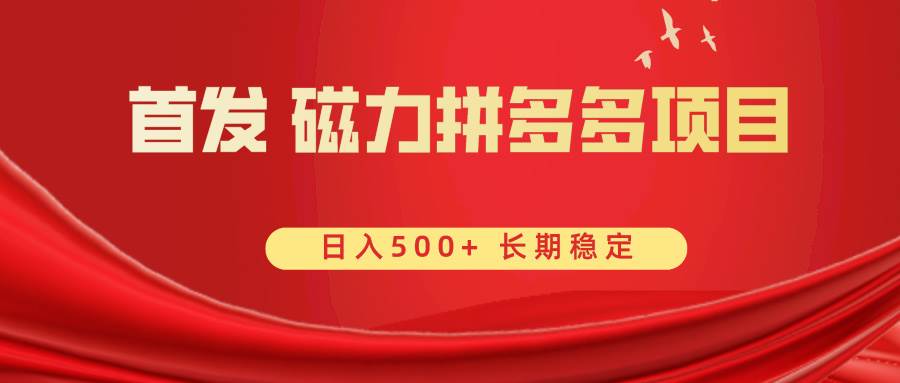 首发 磁力拼多多自撸  日入500+-安哥网络创业副业