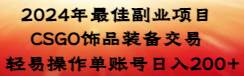 2024年最佳副业项目 CSGO饰品装备交易 轻易操作单账号日入200+-安哥网络创业副业
