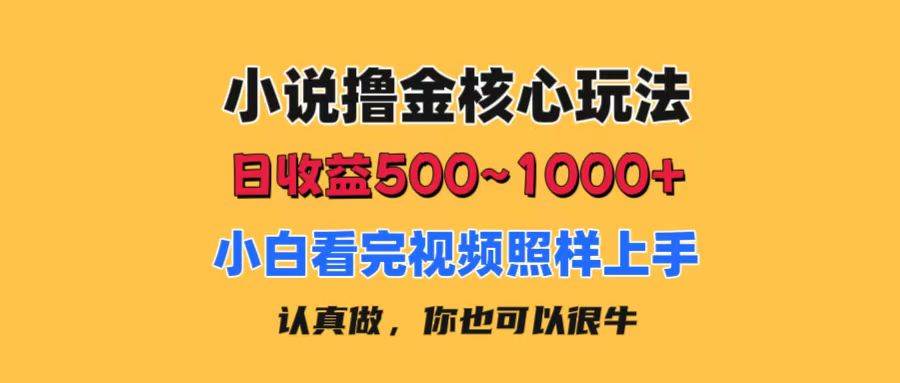小说撸金核心玩法，日收益500-1000+，小白看完照样上手，0成本有手就行-安哥网络创业副业
