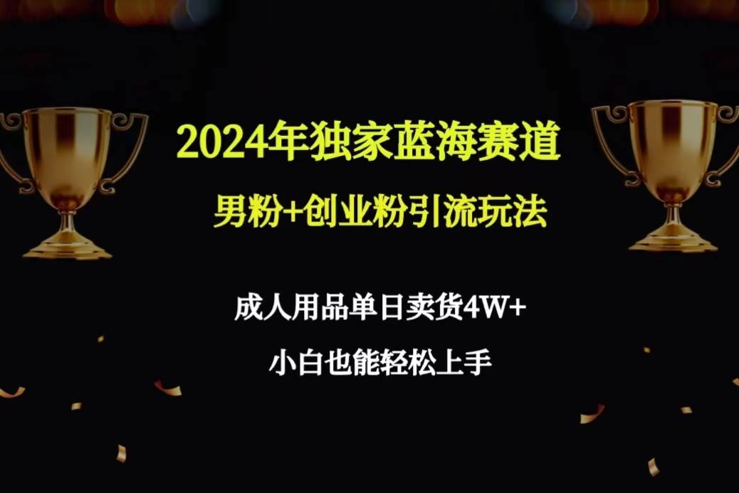 2024年独家蓝海赛道男粉+创业粉引流玩法，成人用品单日卖货4W+保姆教程-安哥网络创业副业