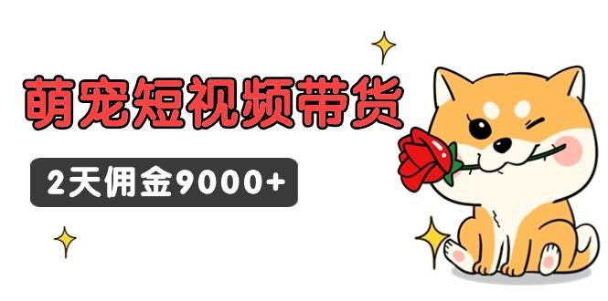 东哲日记·萌宠短视频带货，2天佣金9000+-安哥网络创业副业