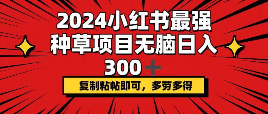 2024小红书最强种草项目,无脑日入300+,复制粘帖即可,多劳多得-安哥网络创业副业