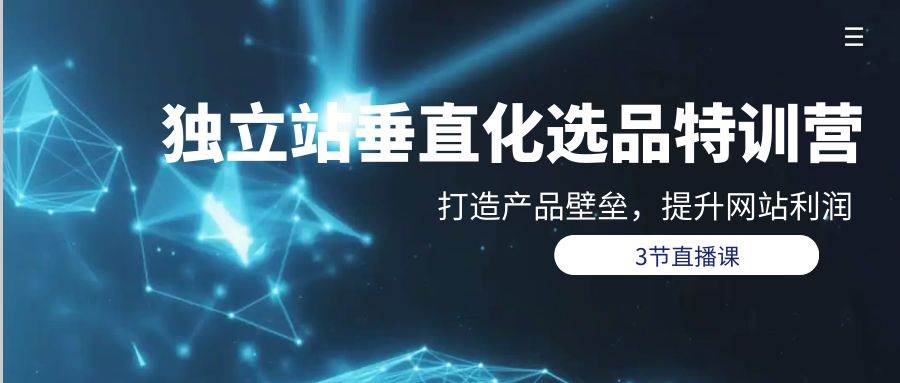 独立站-垂直化选品训练营，打造产品壁垒，提升网站利润（3节直播课）-安哥网络创业副业