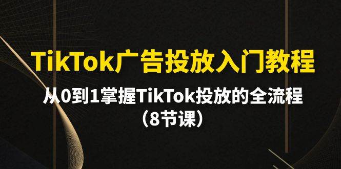 TikTok广告投放入门教程，从0到1掌握TikTok投放的全流程（8节课）-安哥网络创业副业