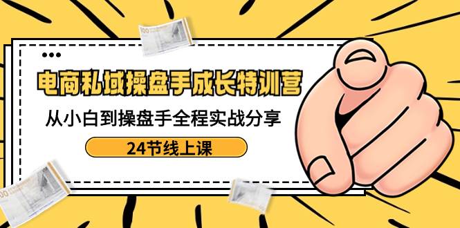 电商私域-操盘手成长特训营：从小白到操盘手全程实战分享-24节线上课-安哥网络创业副业