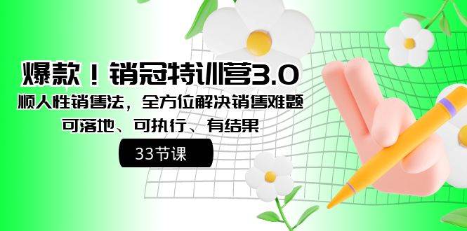 爆款！销冠特训营3.0之顺人性销售法，全方位解决销售难题、可落地、可执行、有结果-安哥网络创业副业